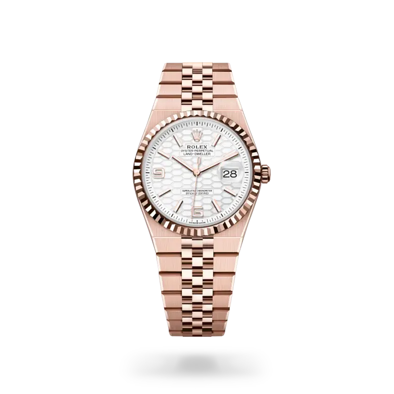 rolex land-dweller in 18 ct everose gold, m127235-0001 - watch palace