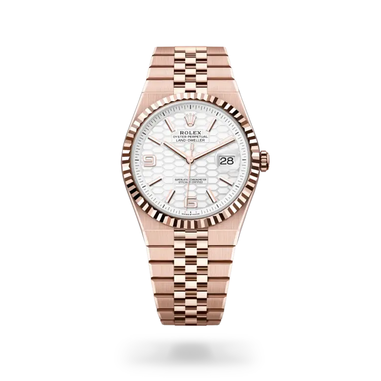 rolex land-dweller in 18 ct everose gold, m127335-0001 - watch palace