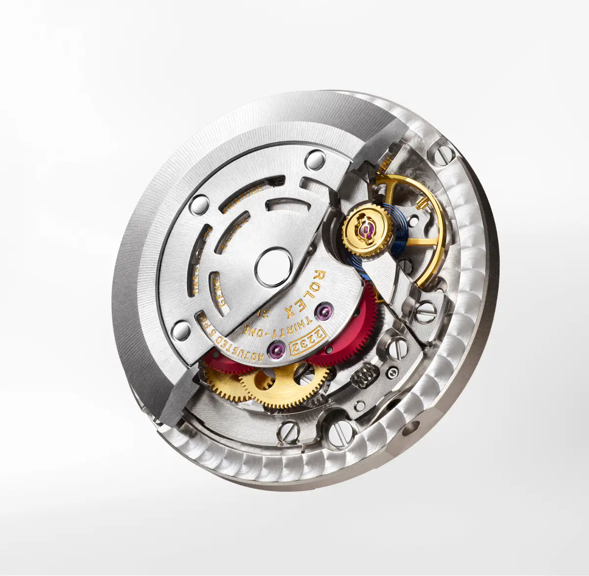 Rolex Oyster Perpetual 28 & 34 - Watch Palace