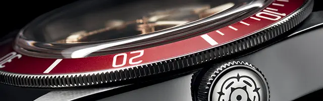 Tudor watches - Watch Palace