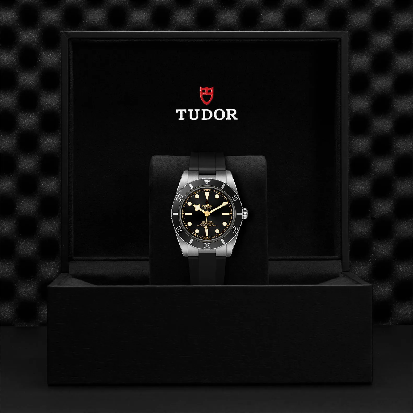 Tudor