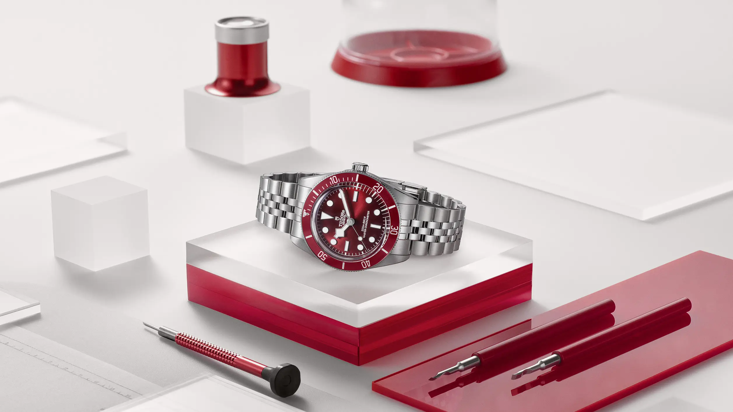 Tudor watches - Watch Palace