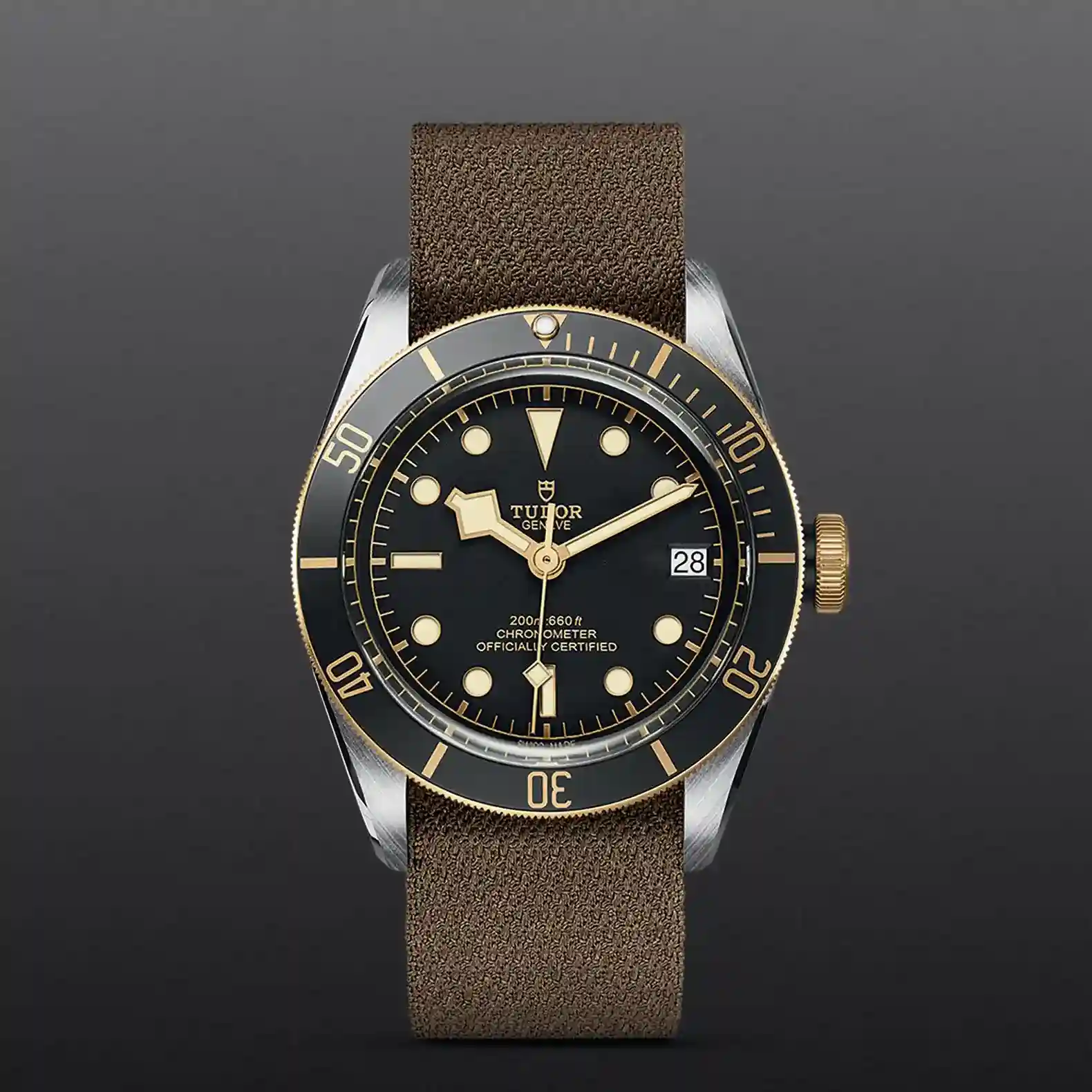 Tudor