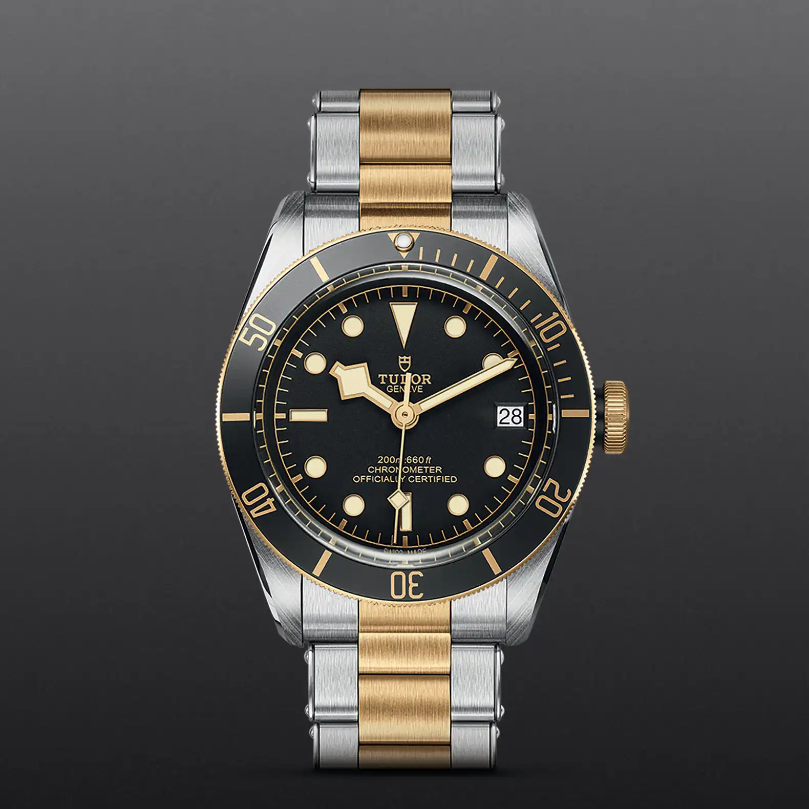 Tudor