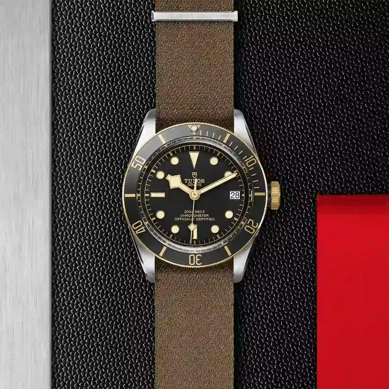Tudor