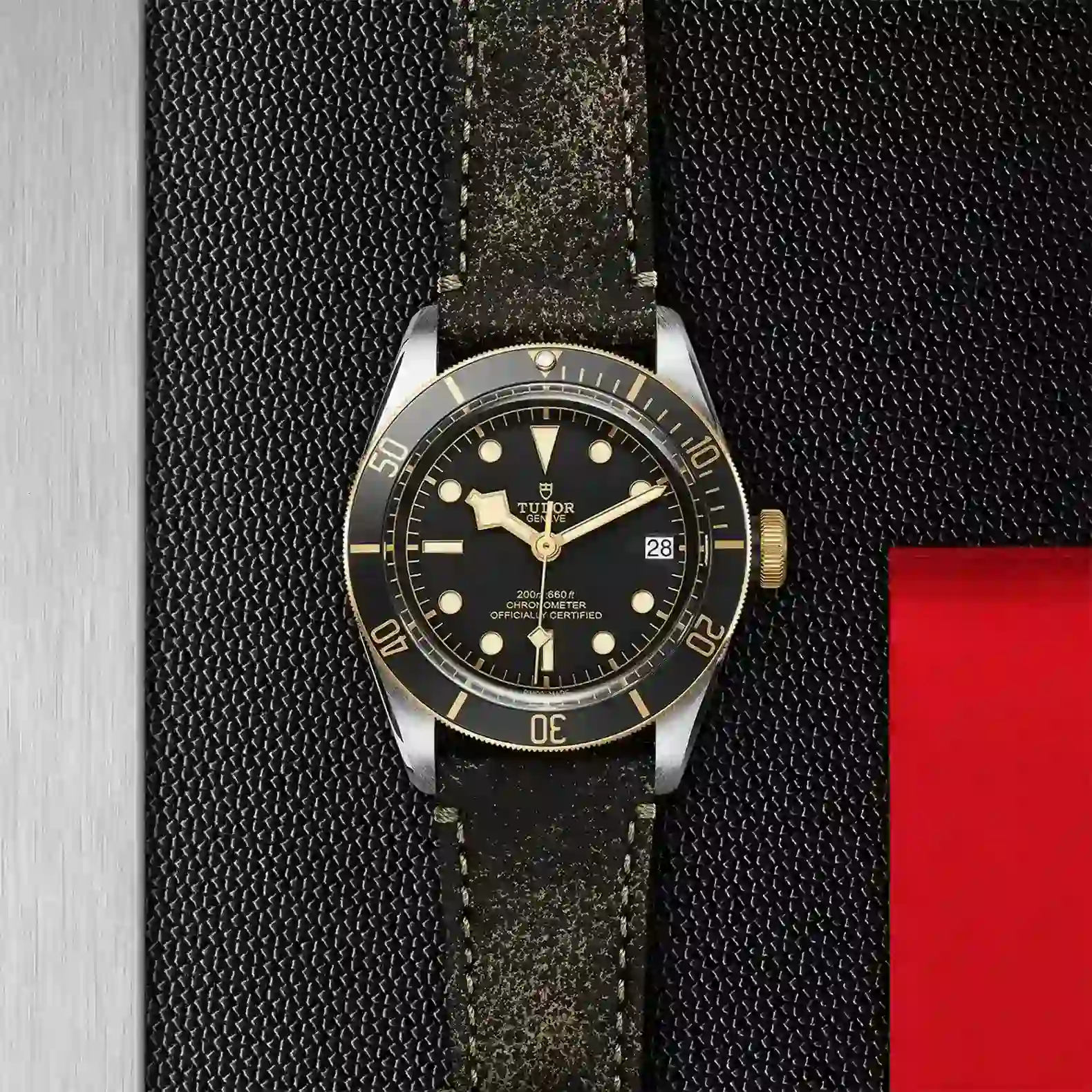 Tudor