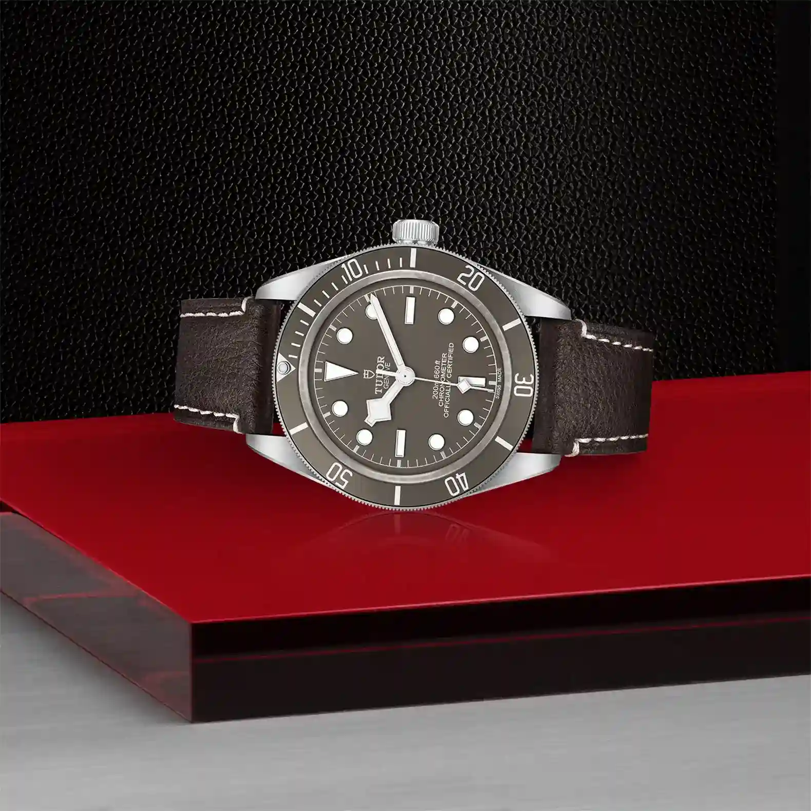 Tudor