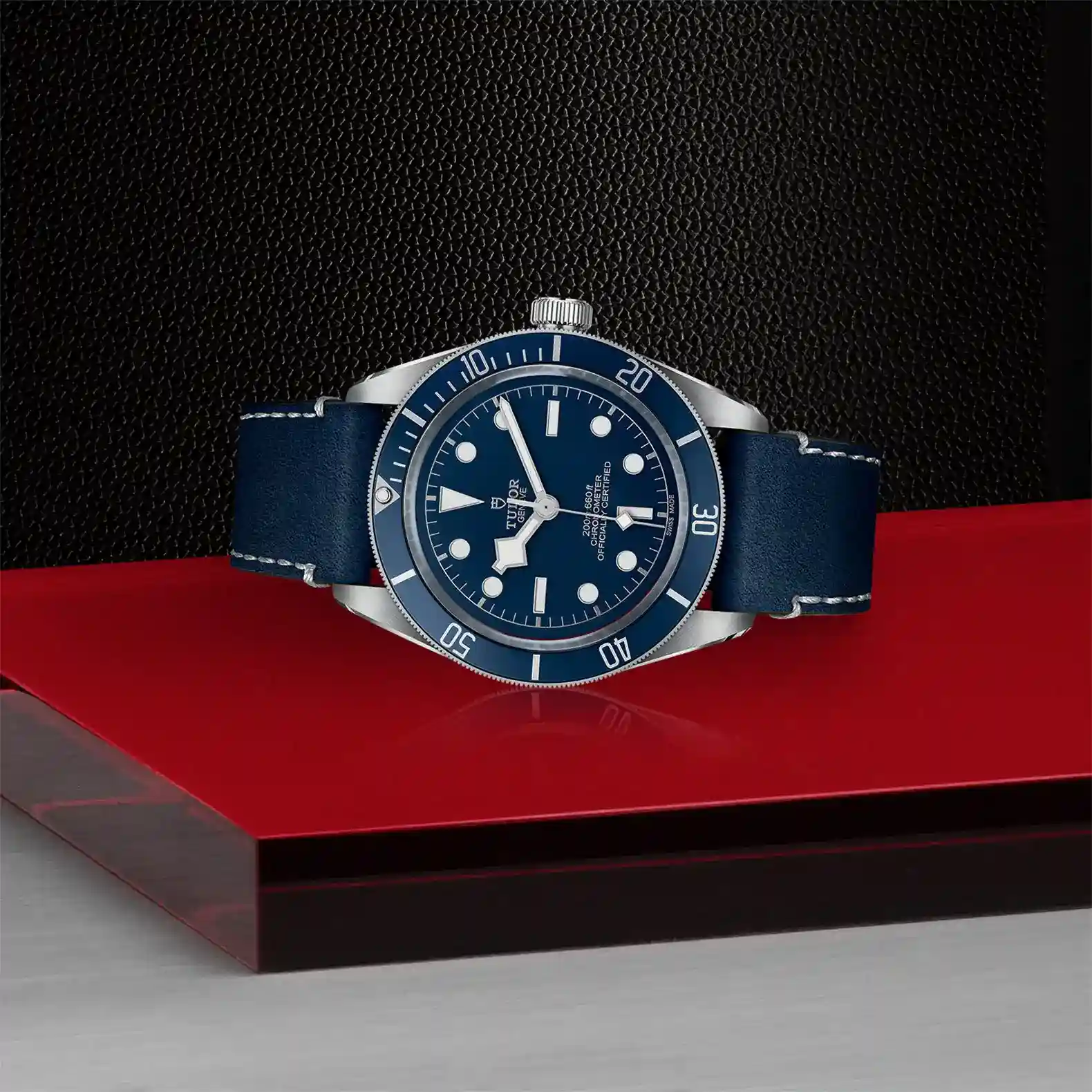Tudor