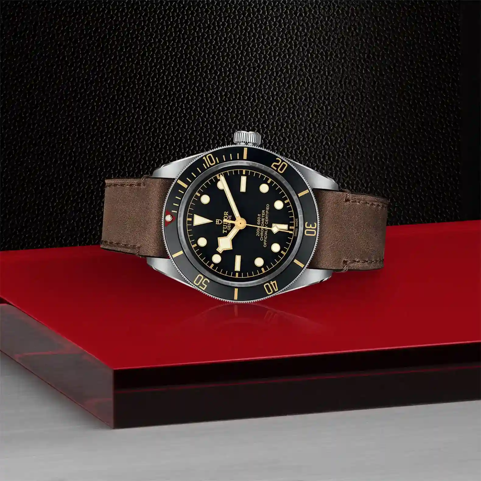 Tudor