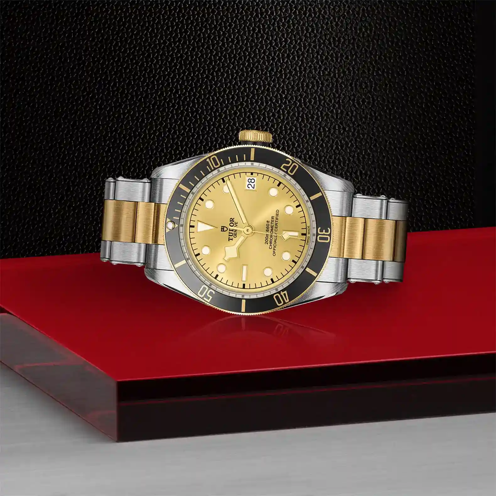 Tudor