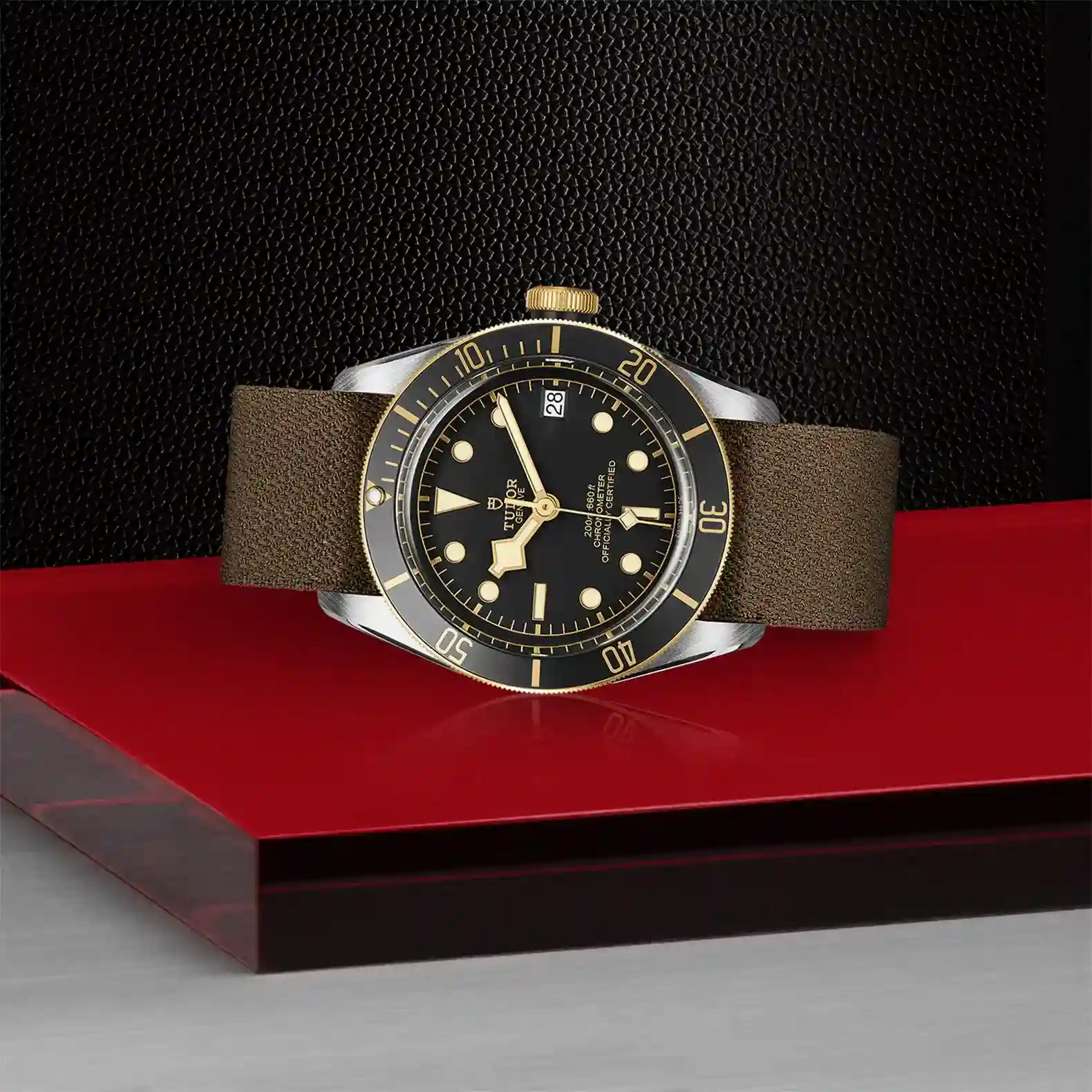 Tudor