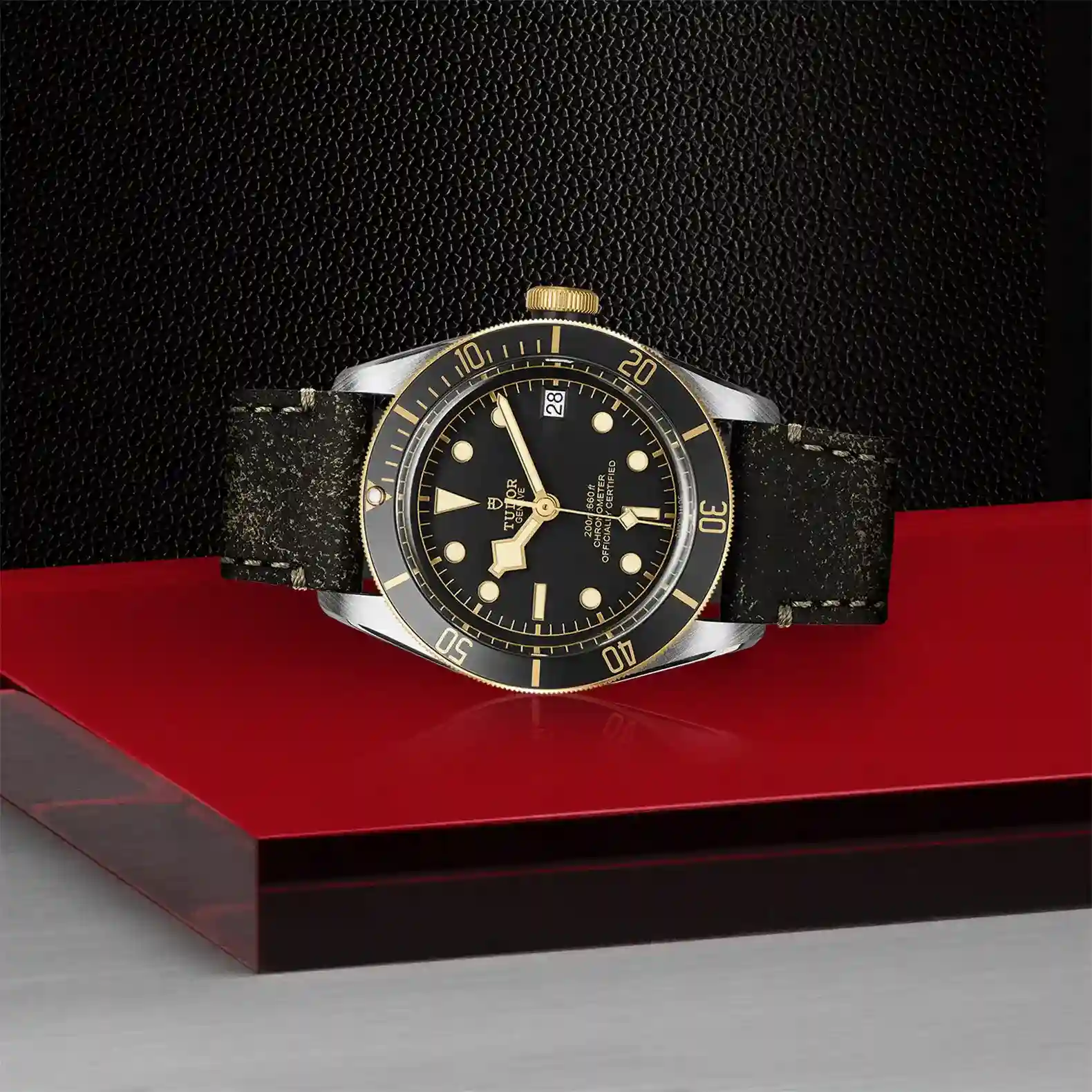 Tudor