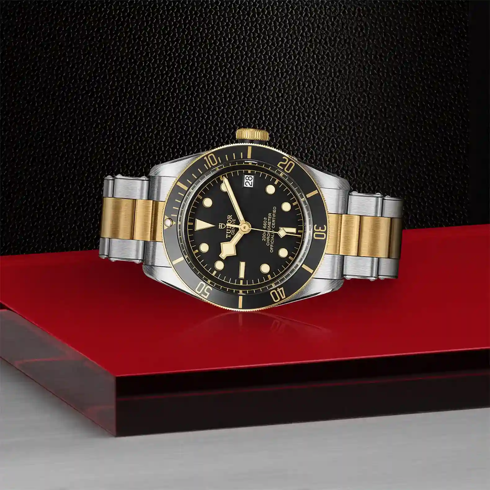 Tudor