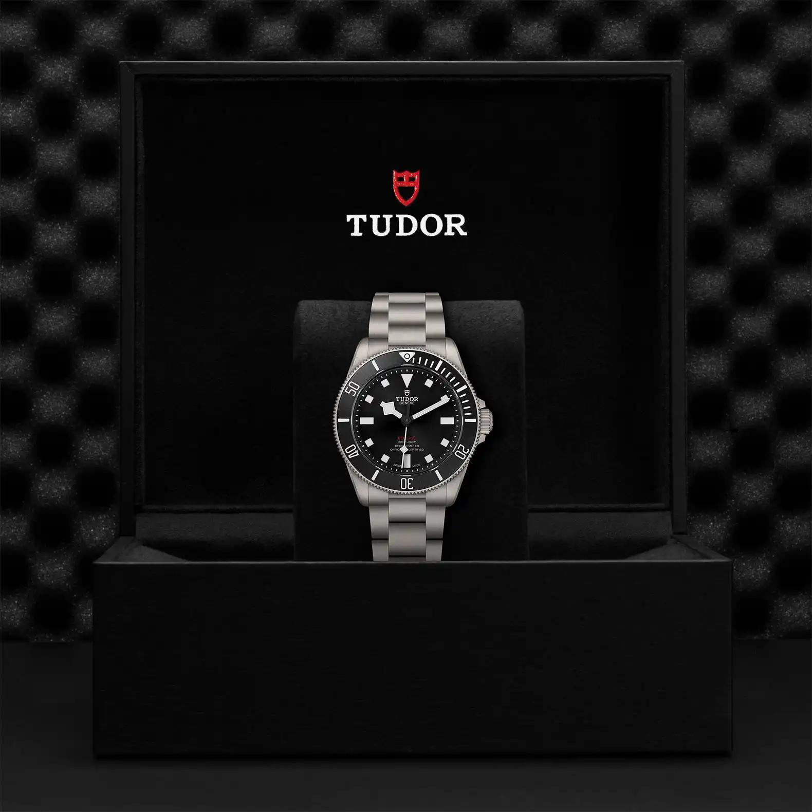 Tudor