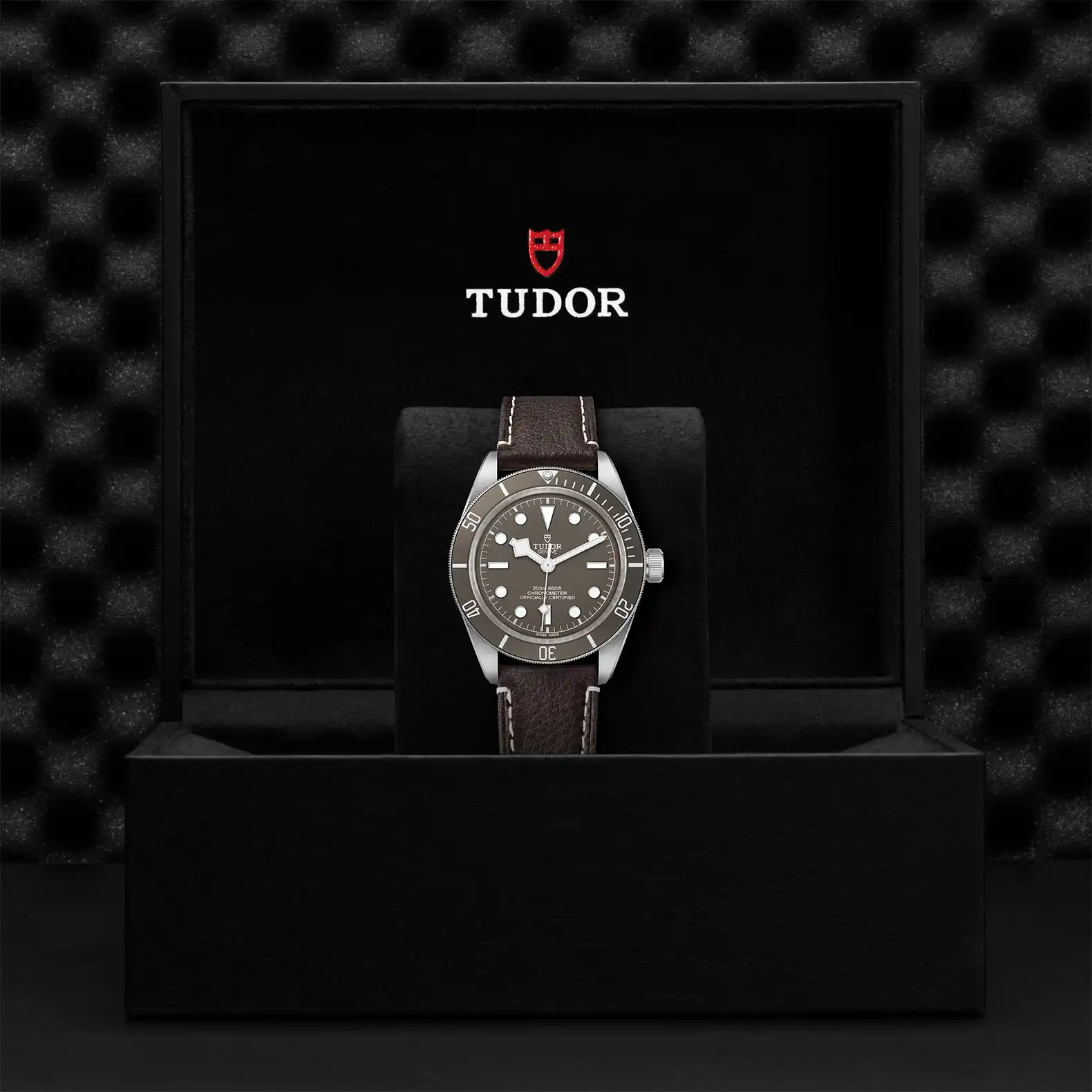 Tudor