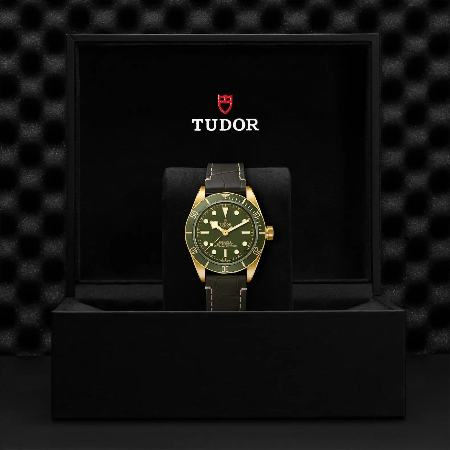 Tudor