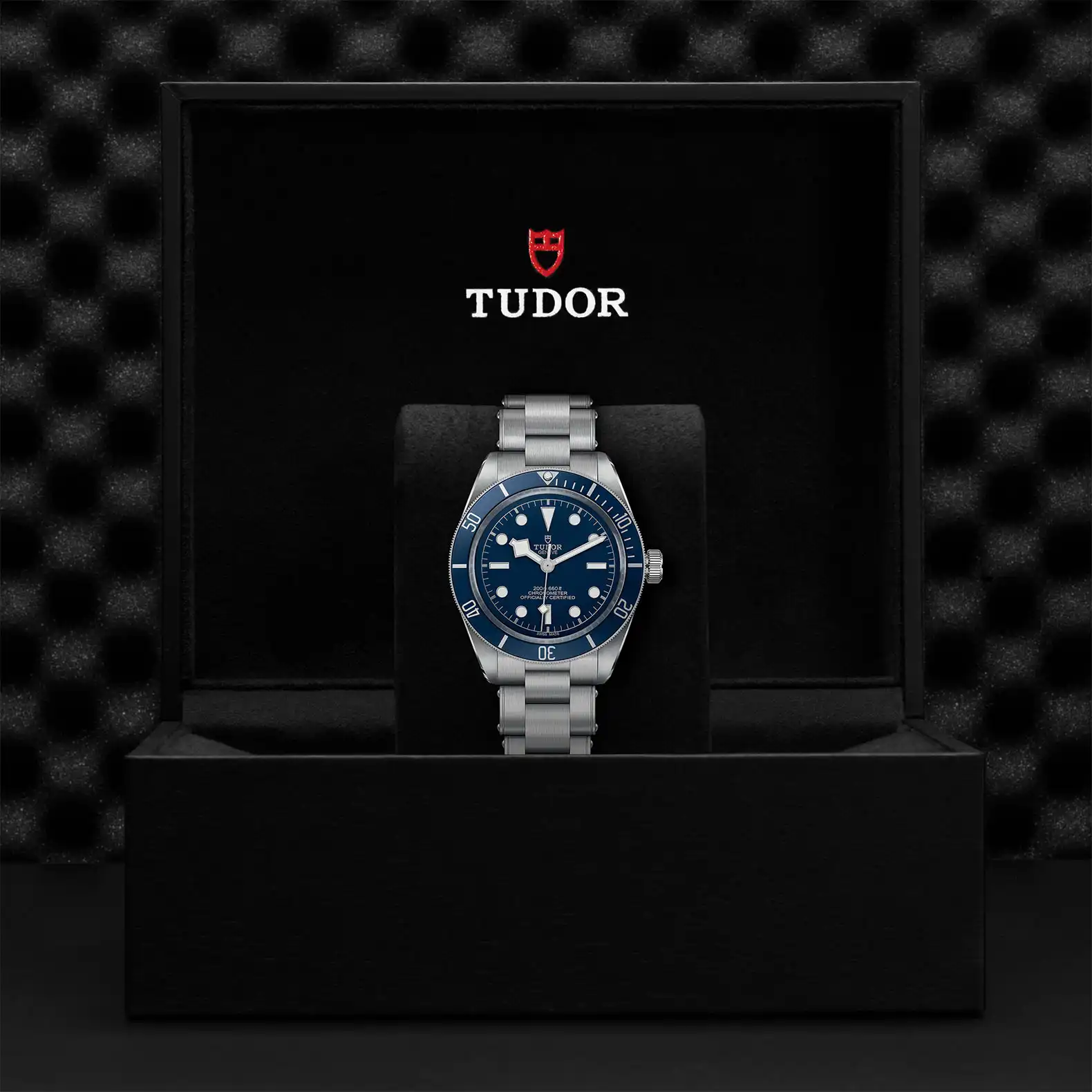 Tudor