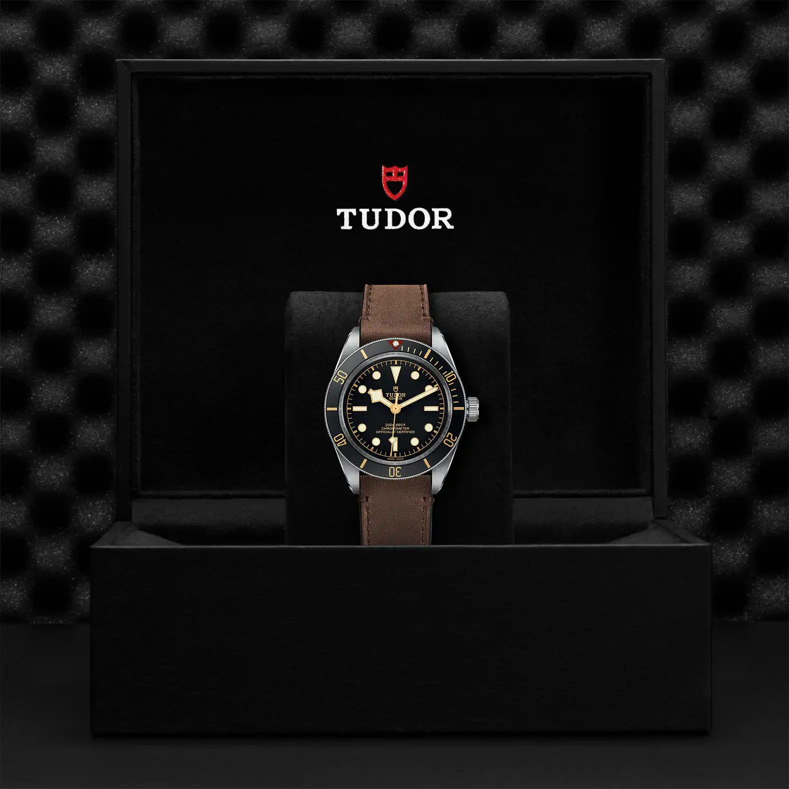 Tudor