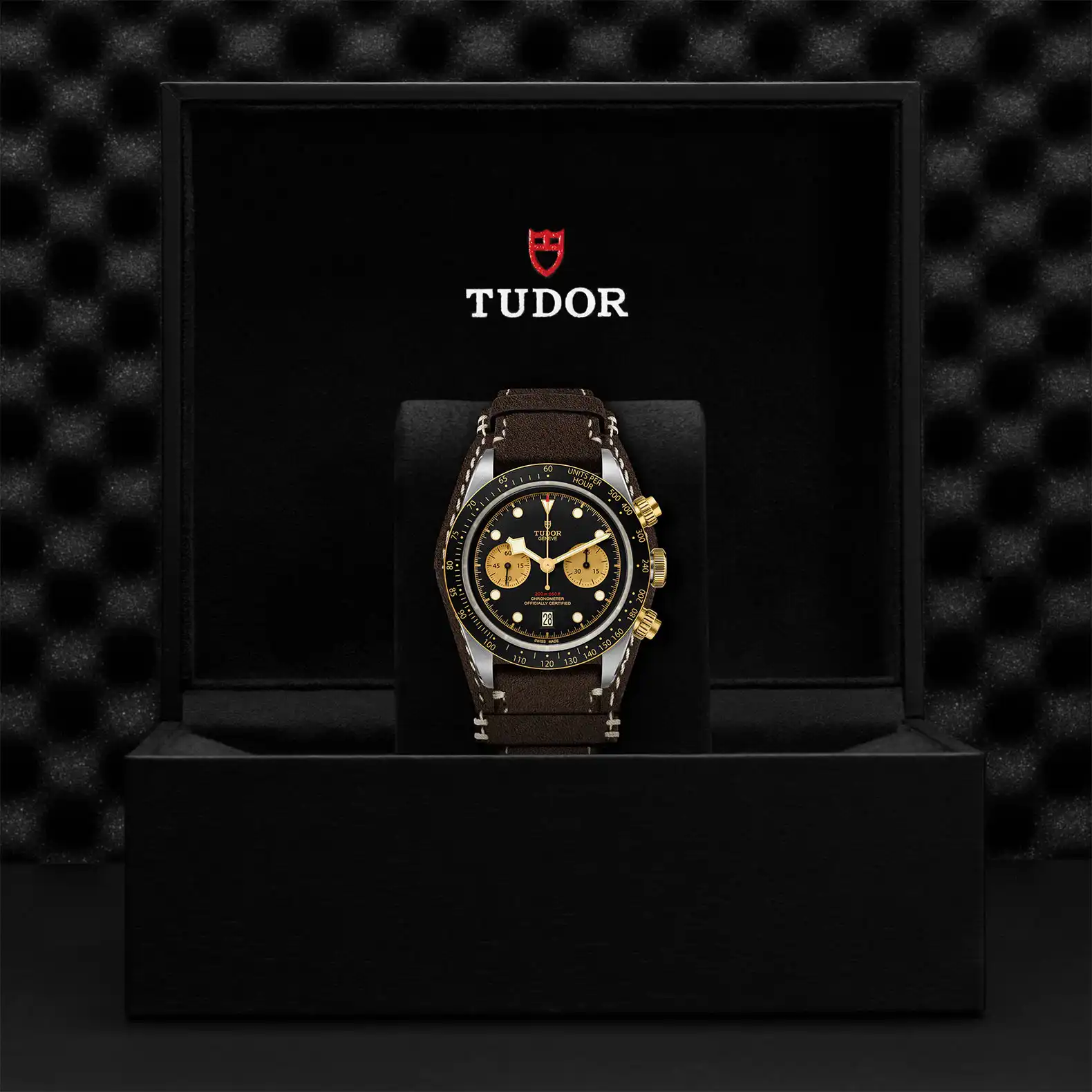 Tudor