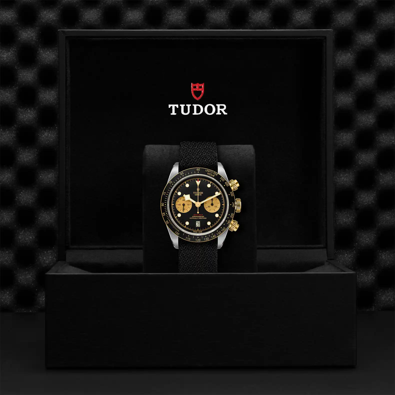 Tudor