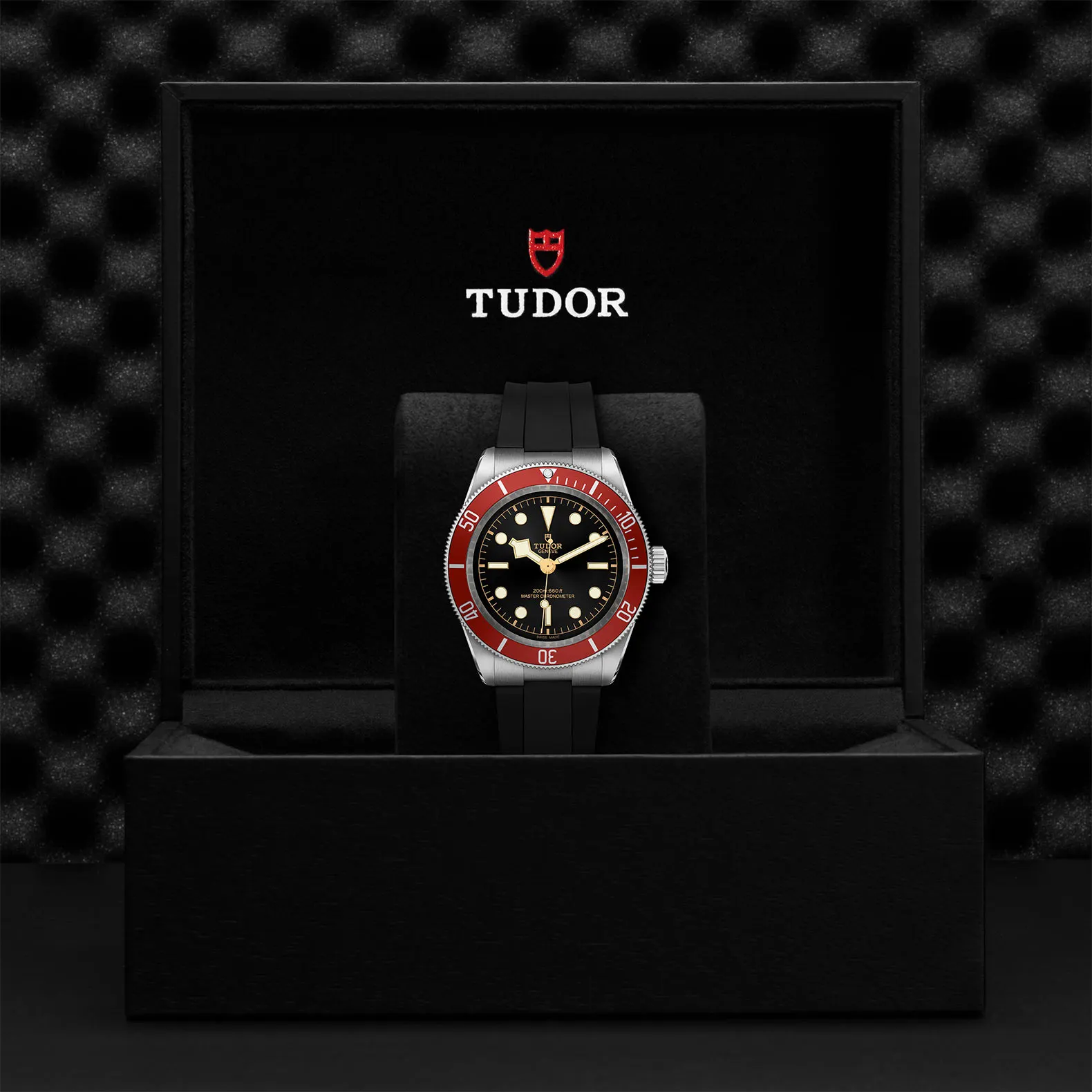 Tudor