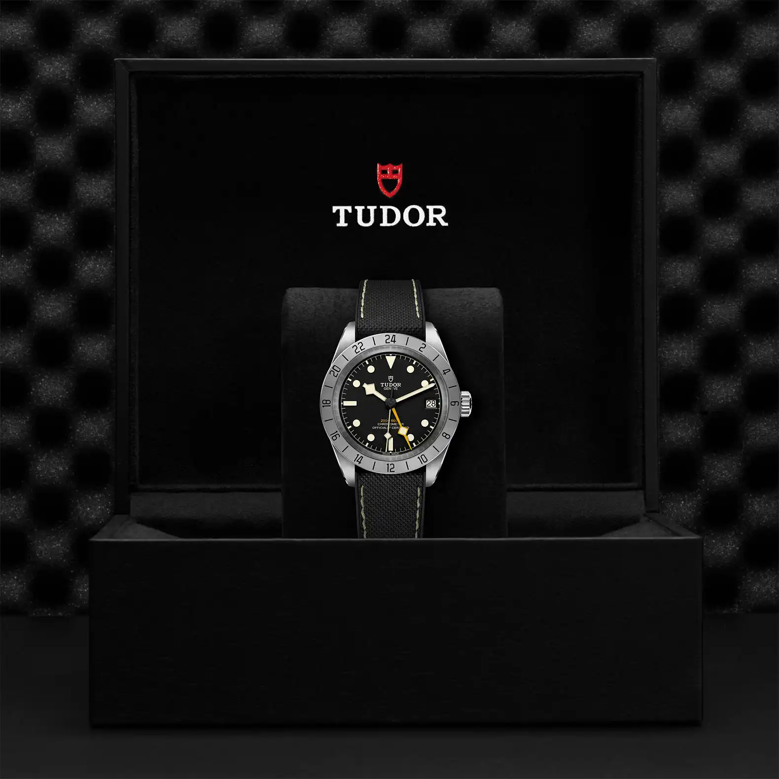 Tudor