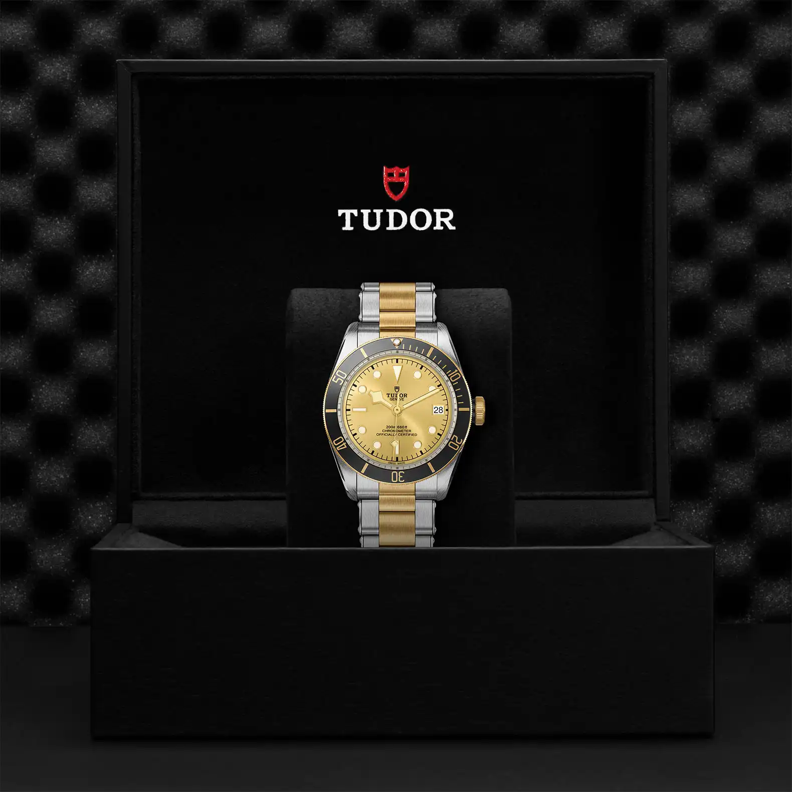 Tudor