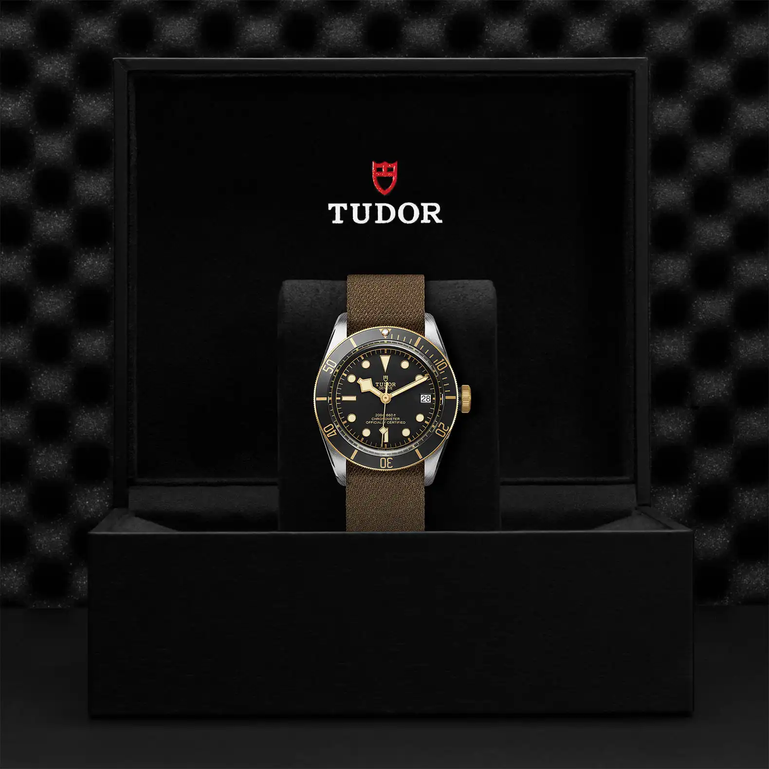 Tudor