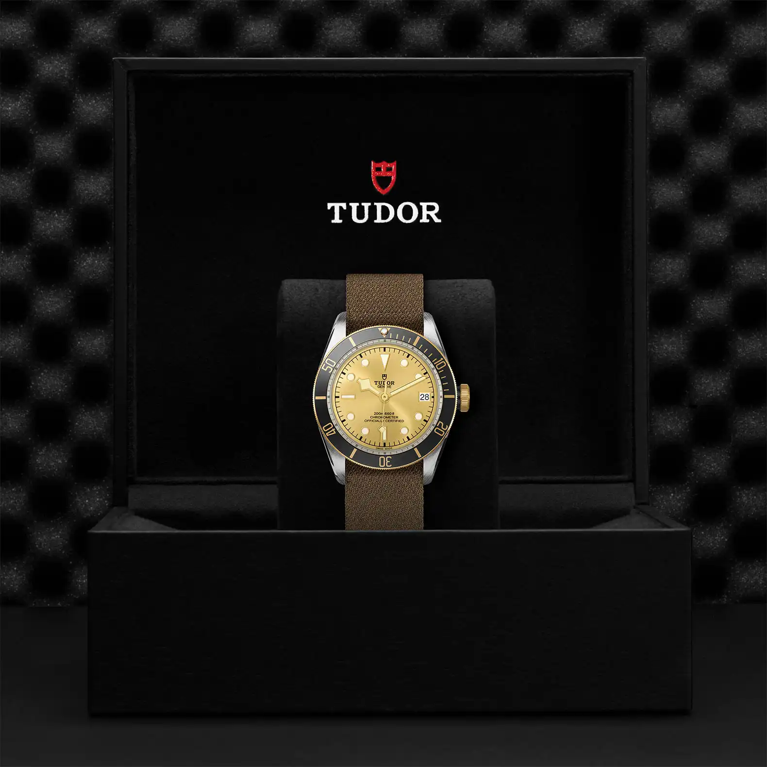 Tudor