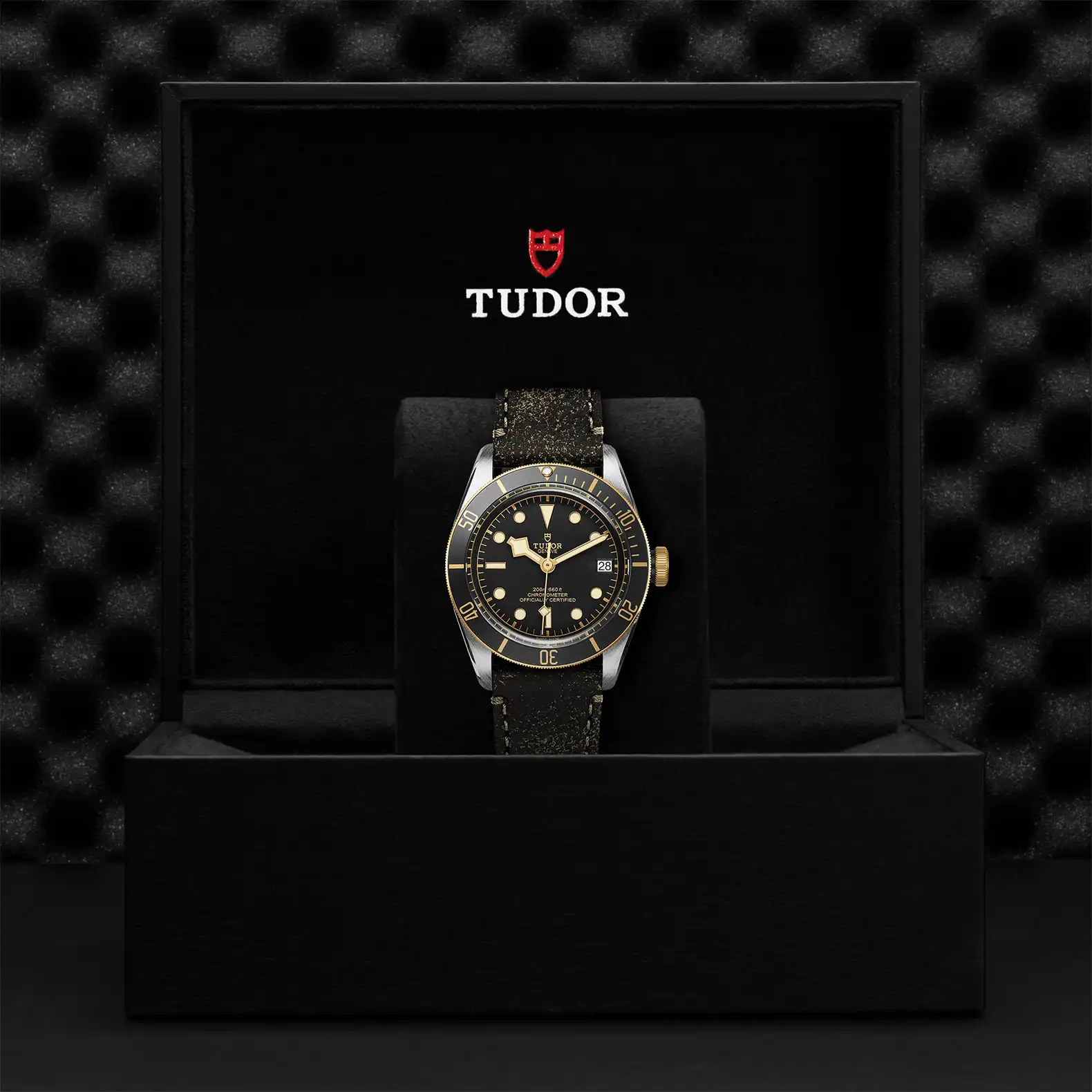 Tudor