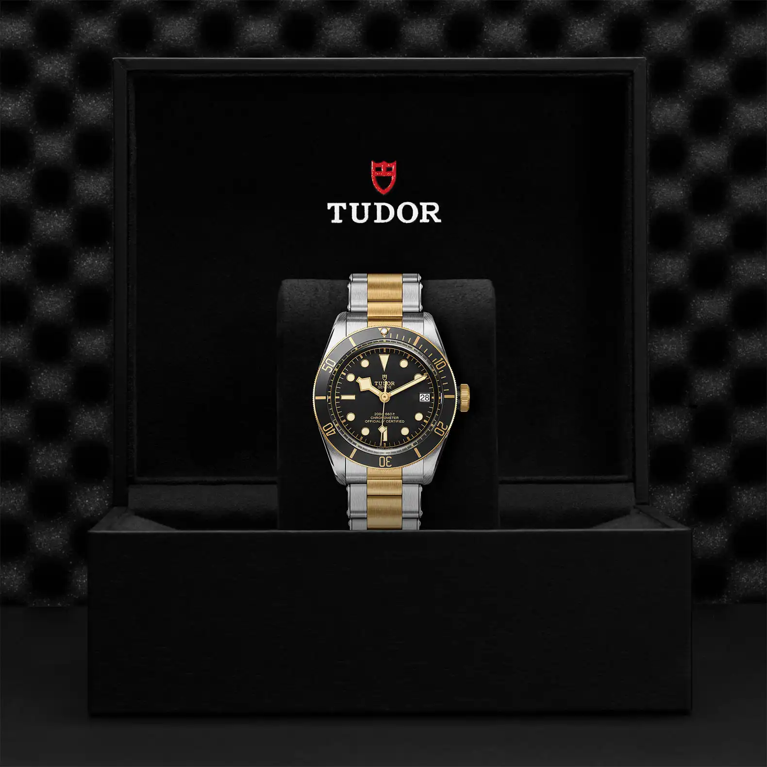 Tudor