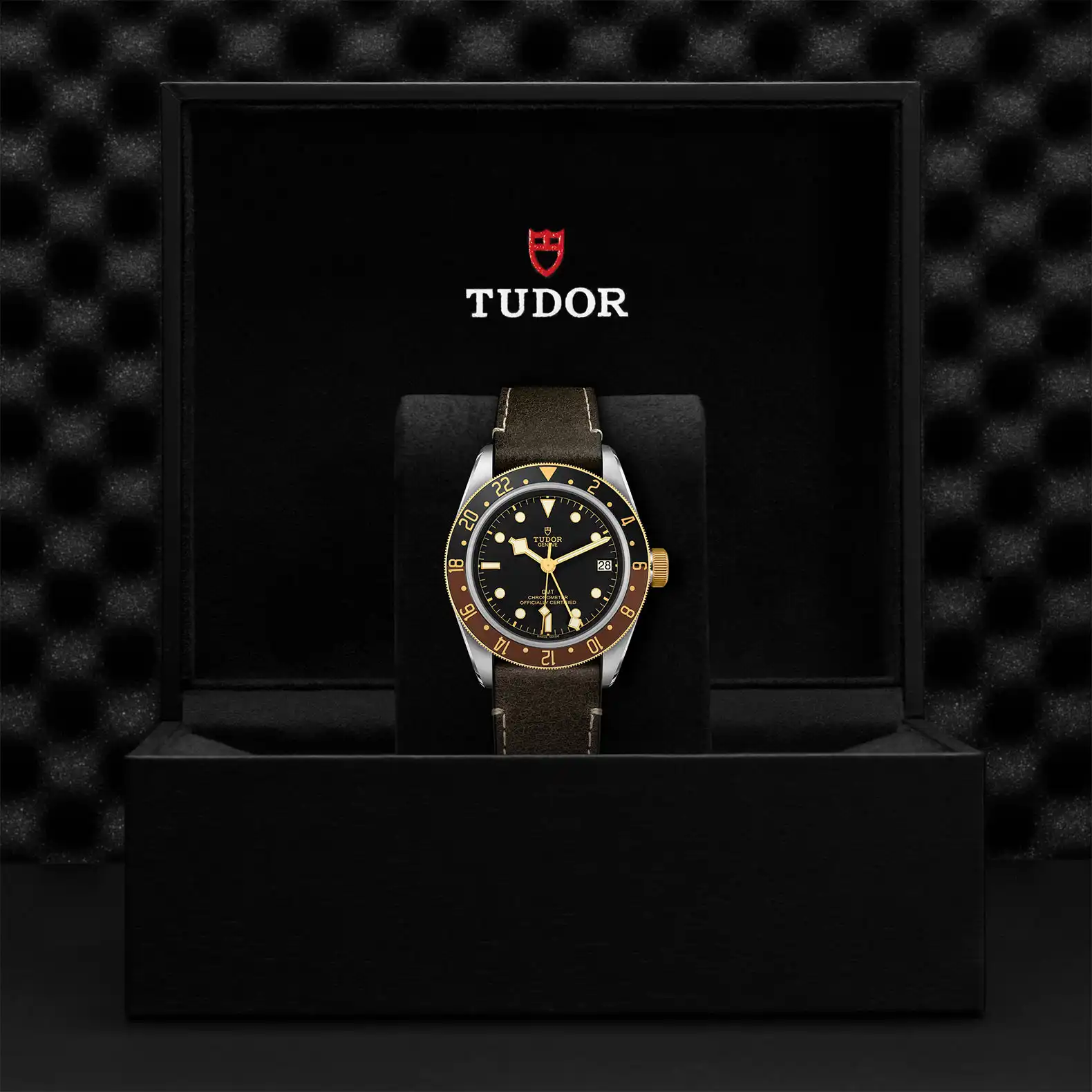 Tudor