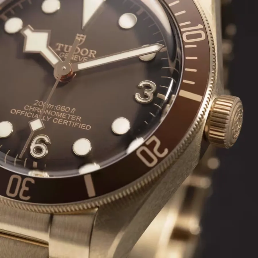Tudor Watch