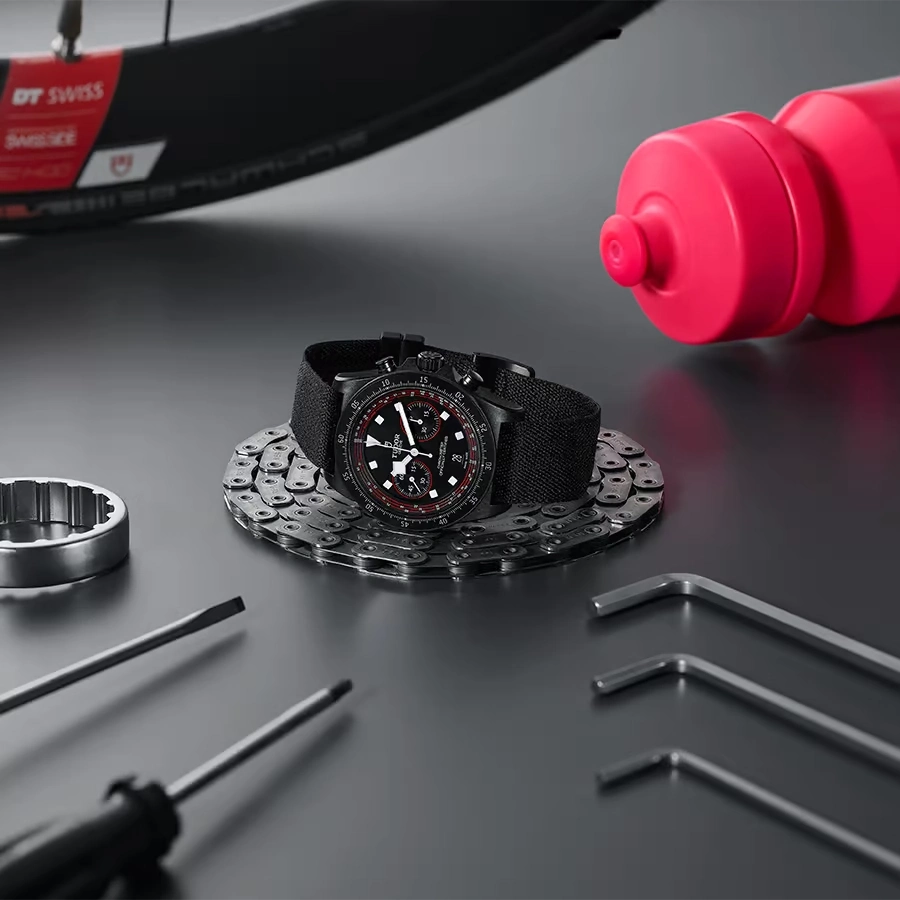 Tudor Watch