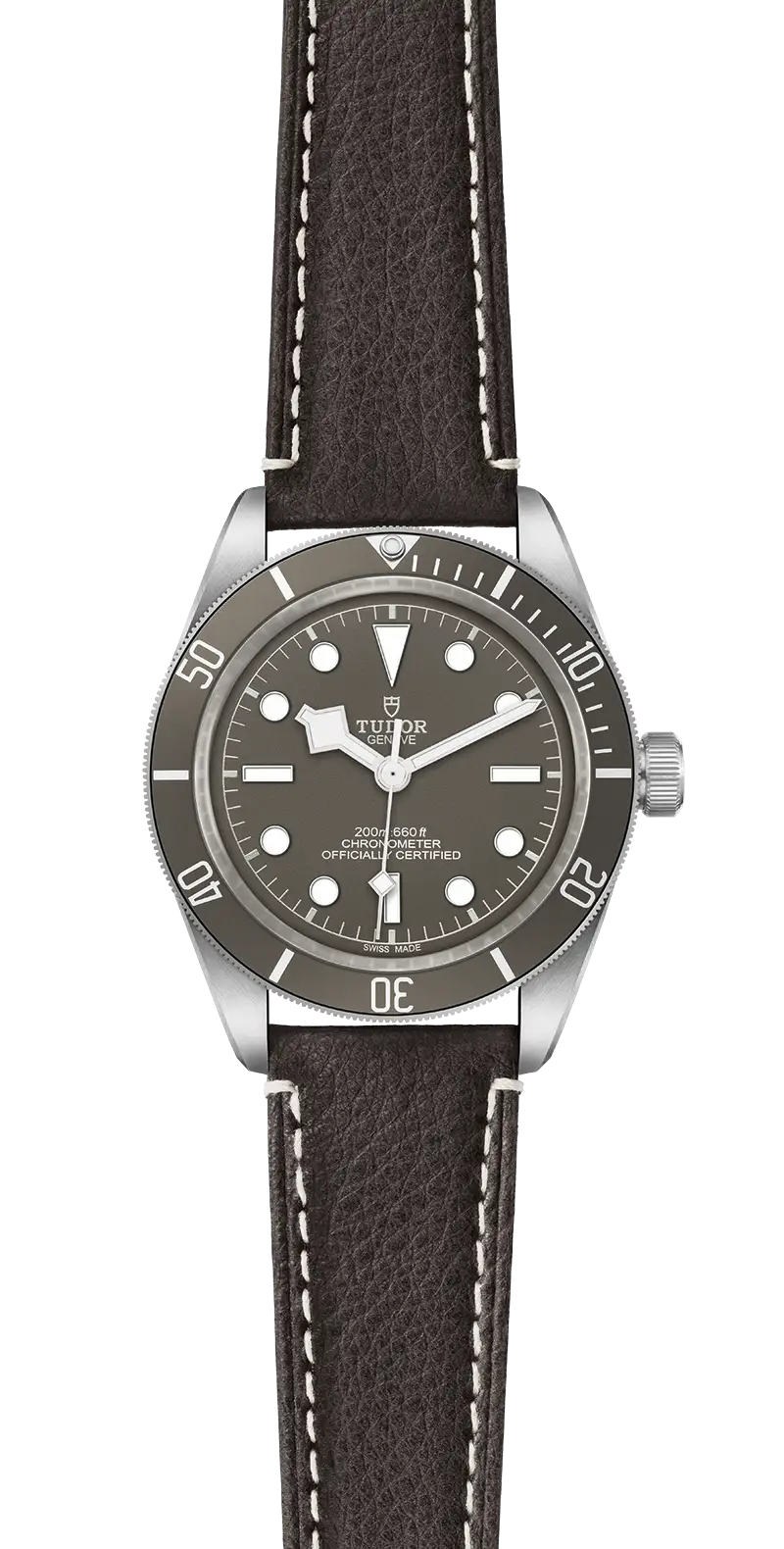 Tudor Watch