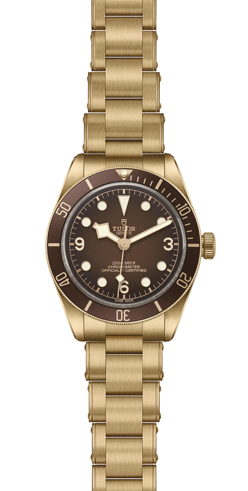 Tudor Watch