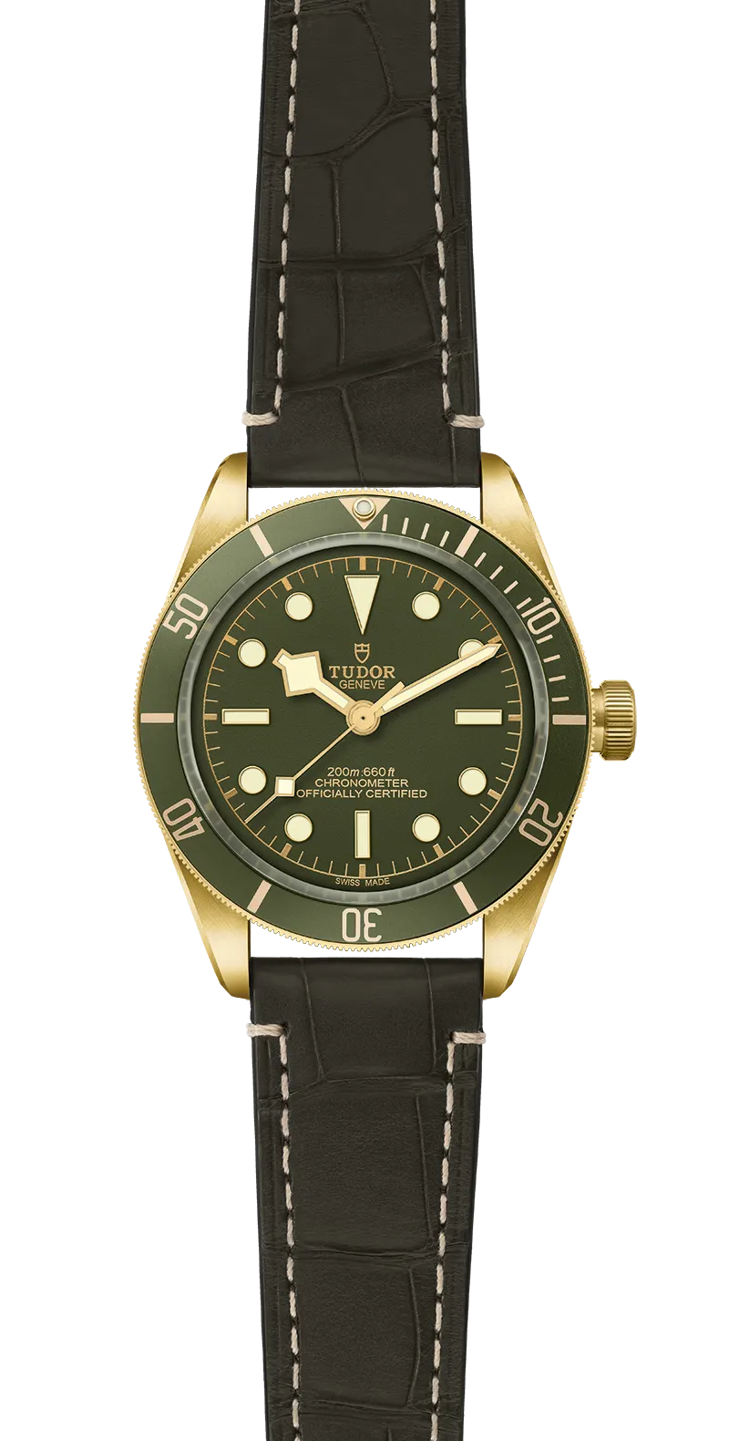 Tudor Watch
