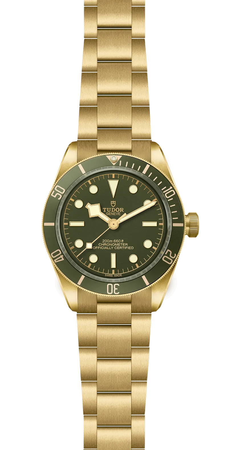 Tudor Watch
