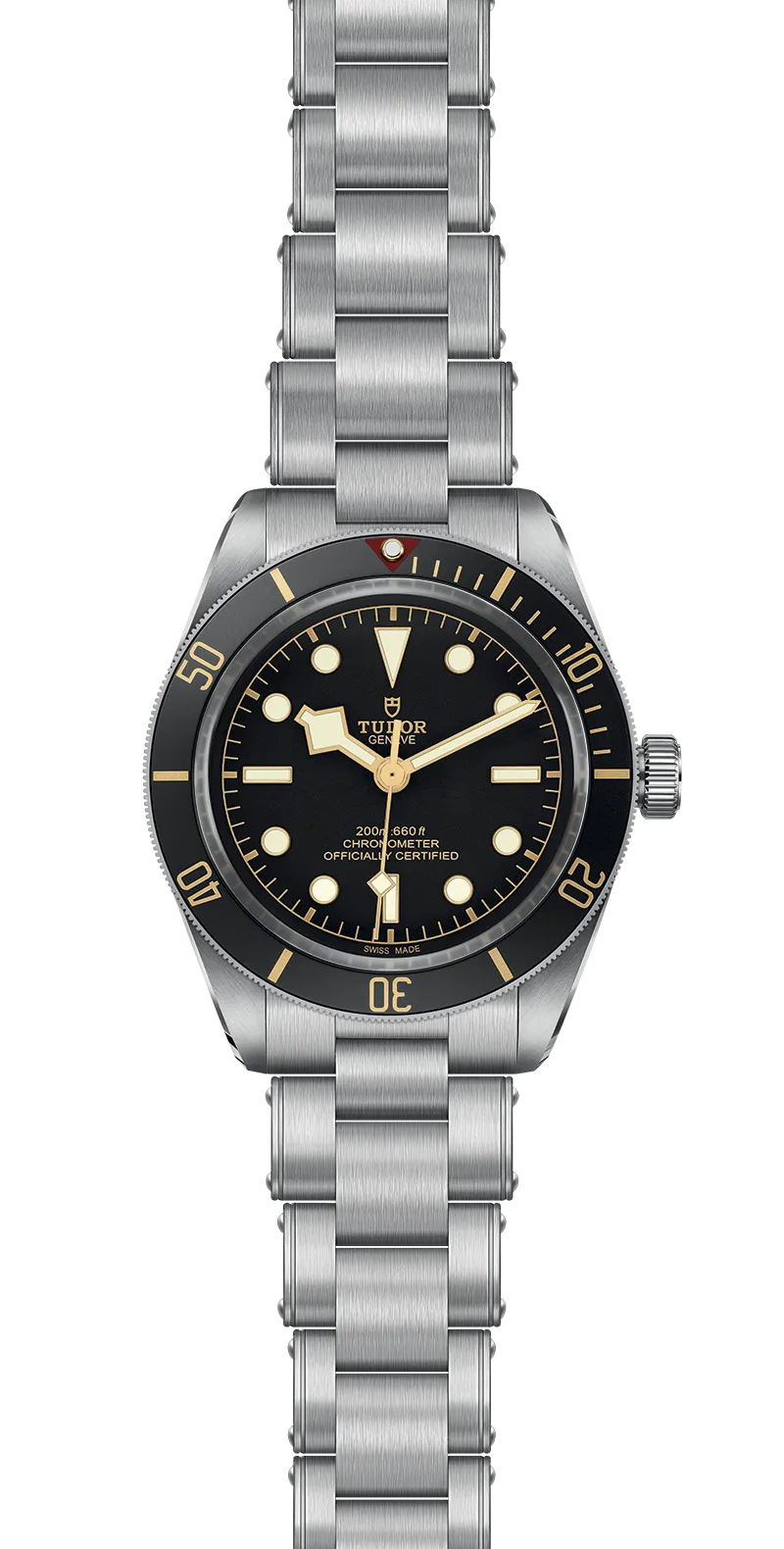 Tudor Watch