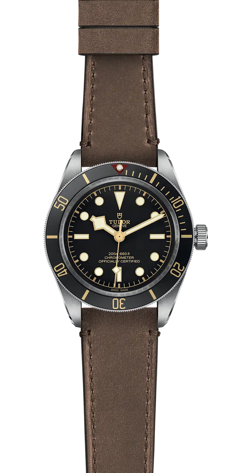 Tudor Watch