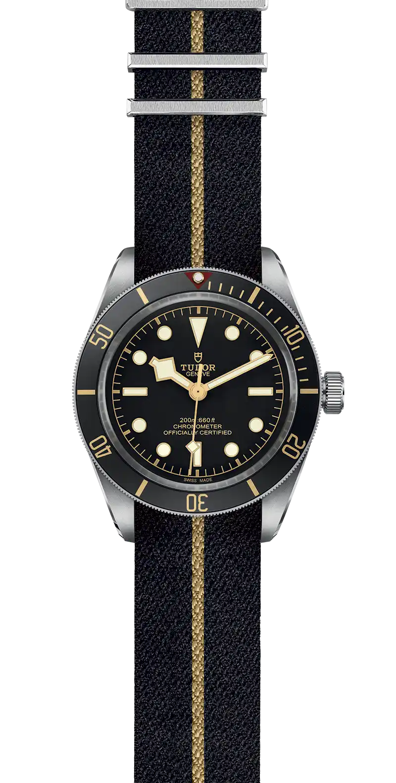 Tudor Watch