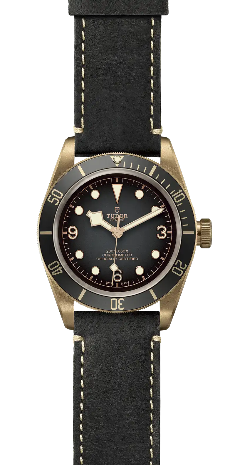 Tudor Watch