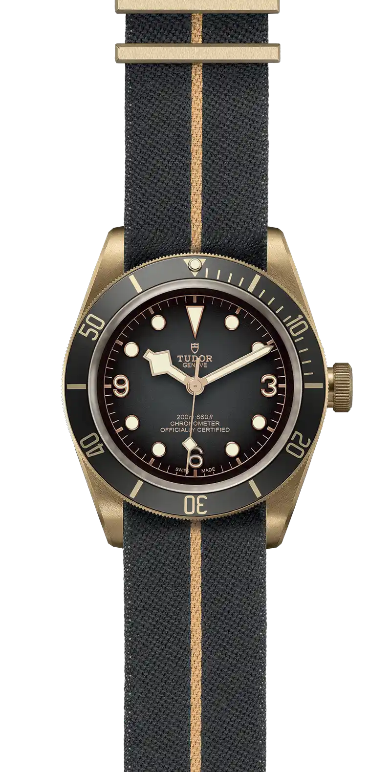 Tudor Watch