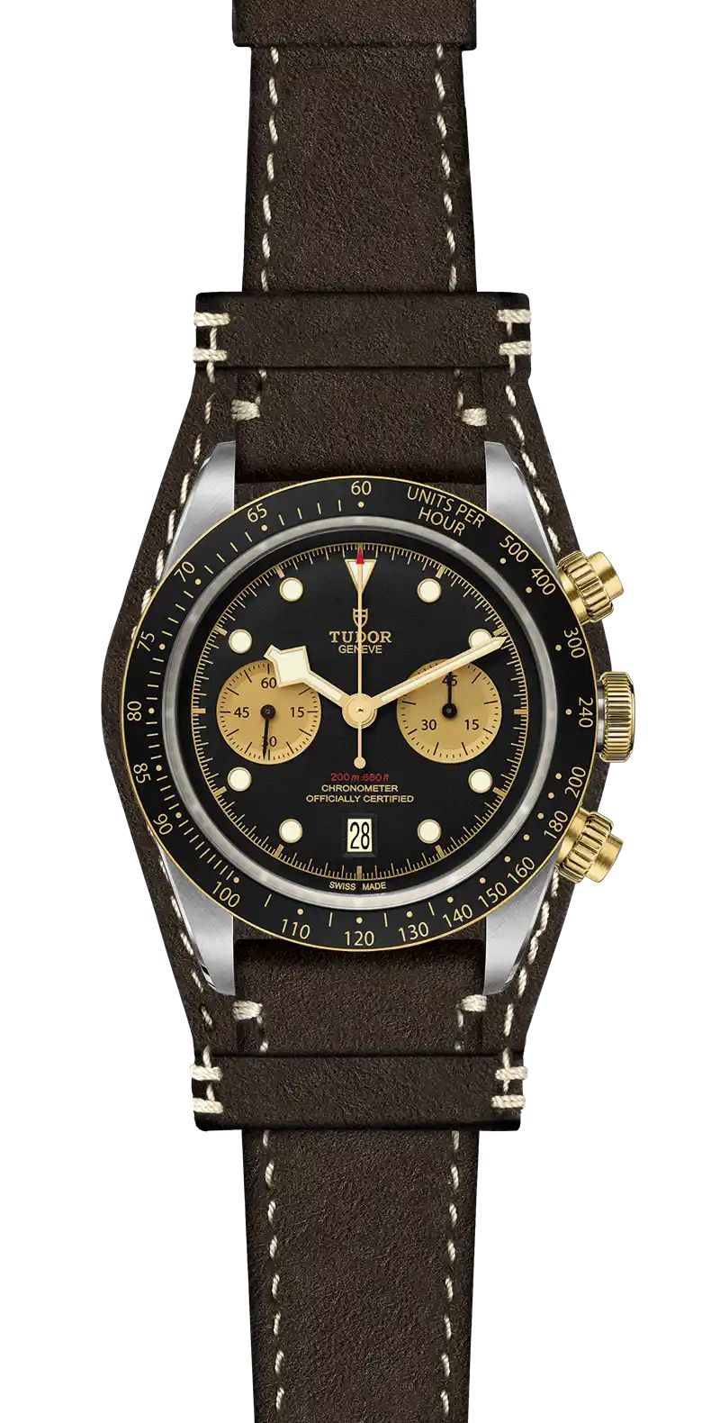 Tudor Watch