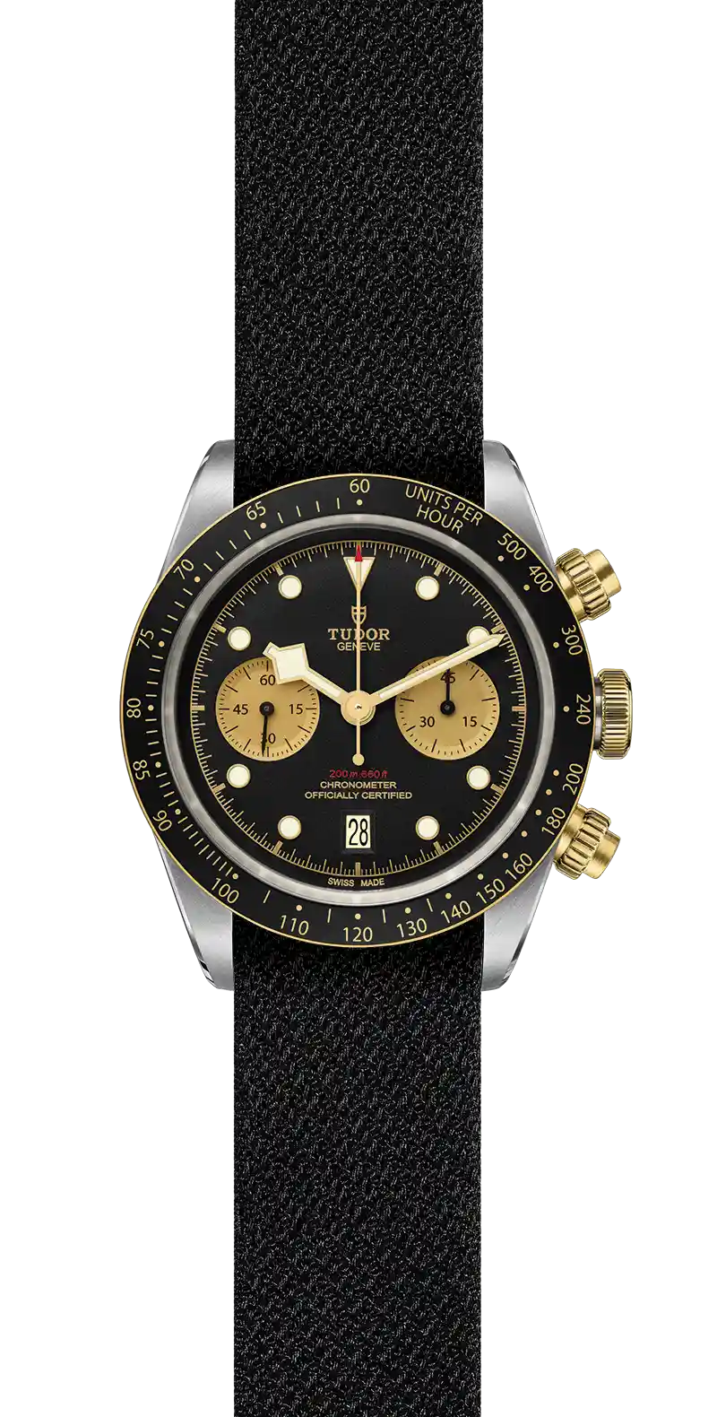 Tudor Watch