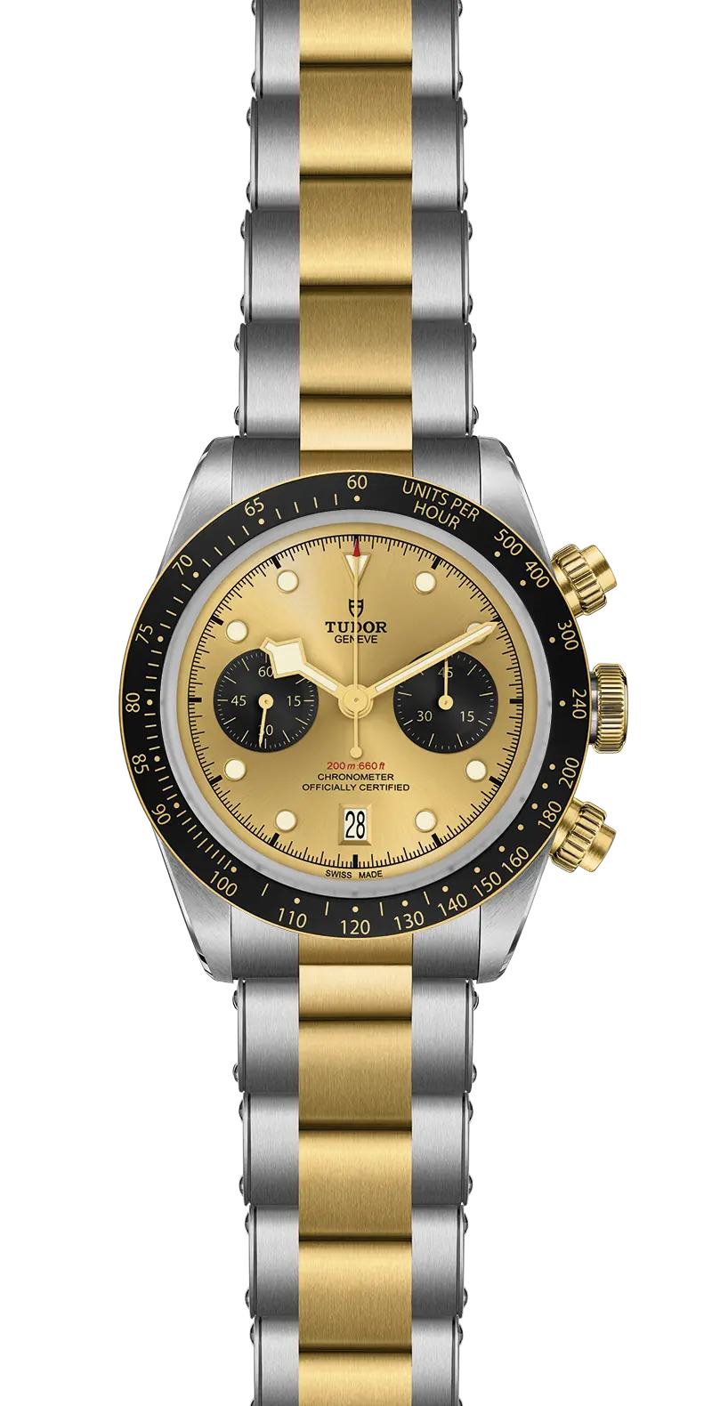 Tudor Watch