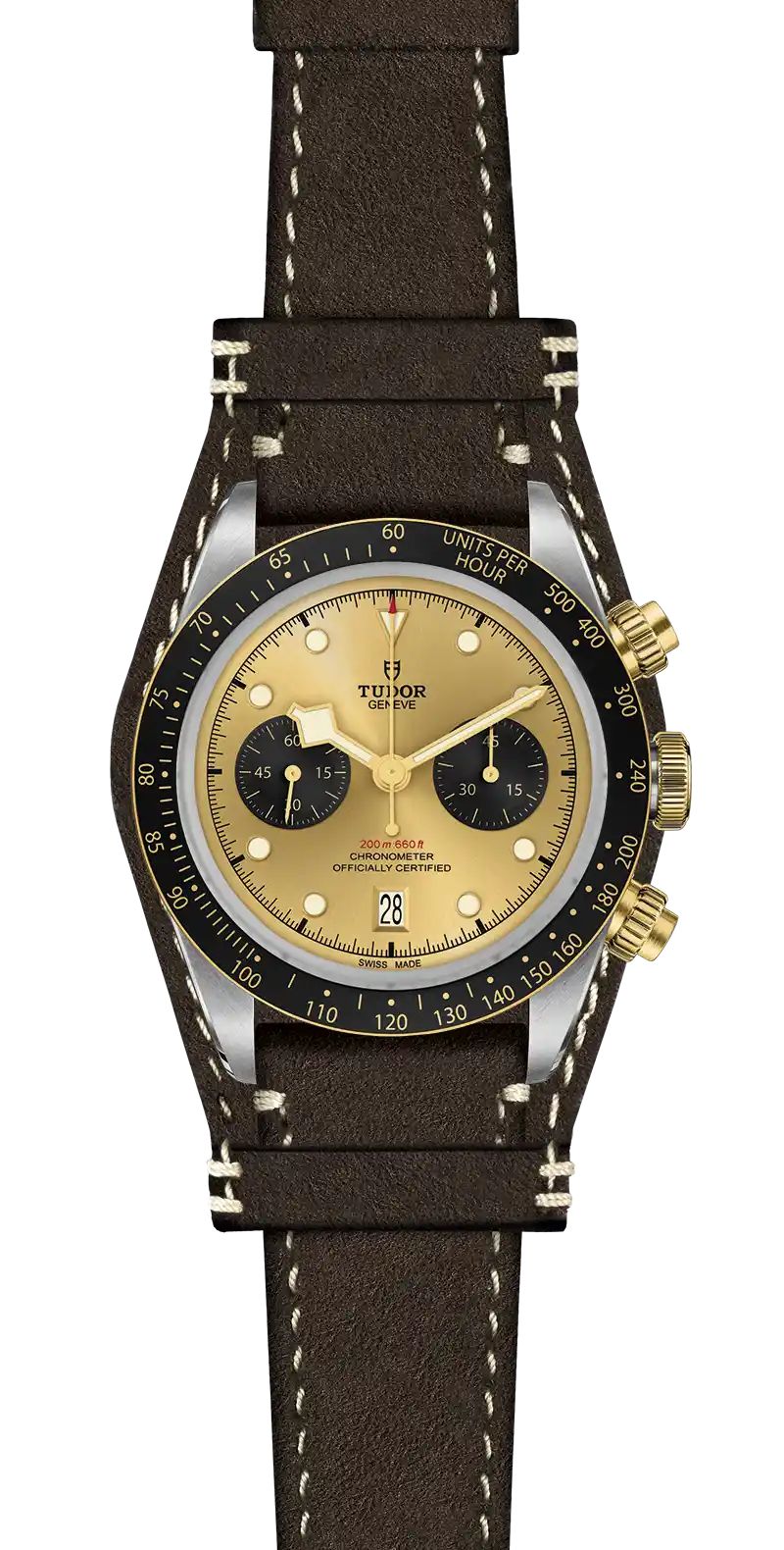 Tudor Watch