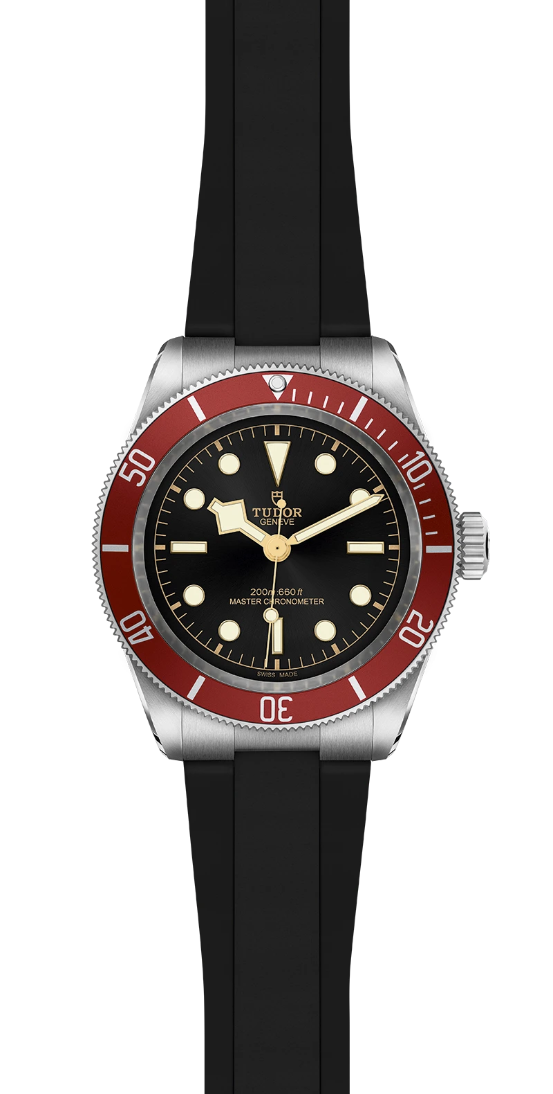 Tudor Watch