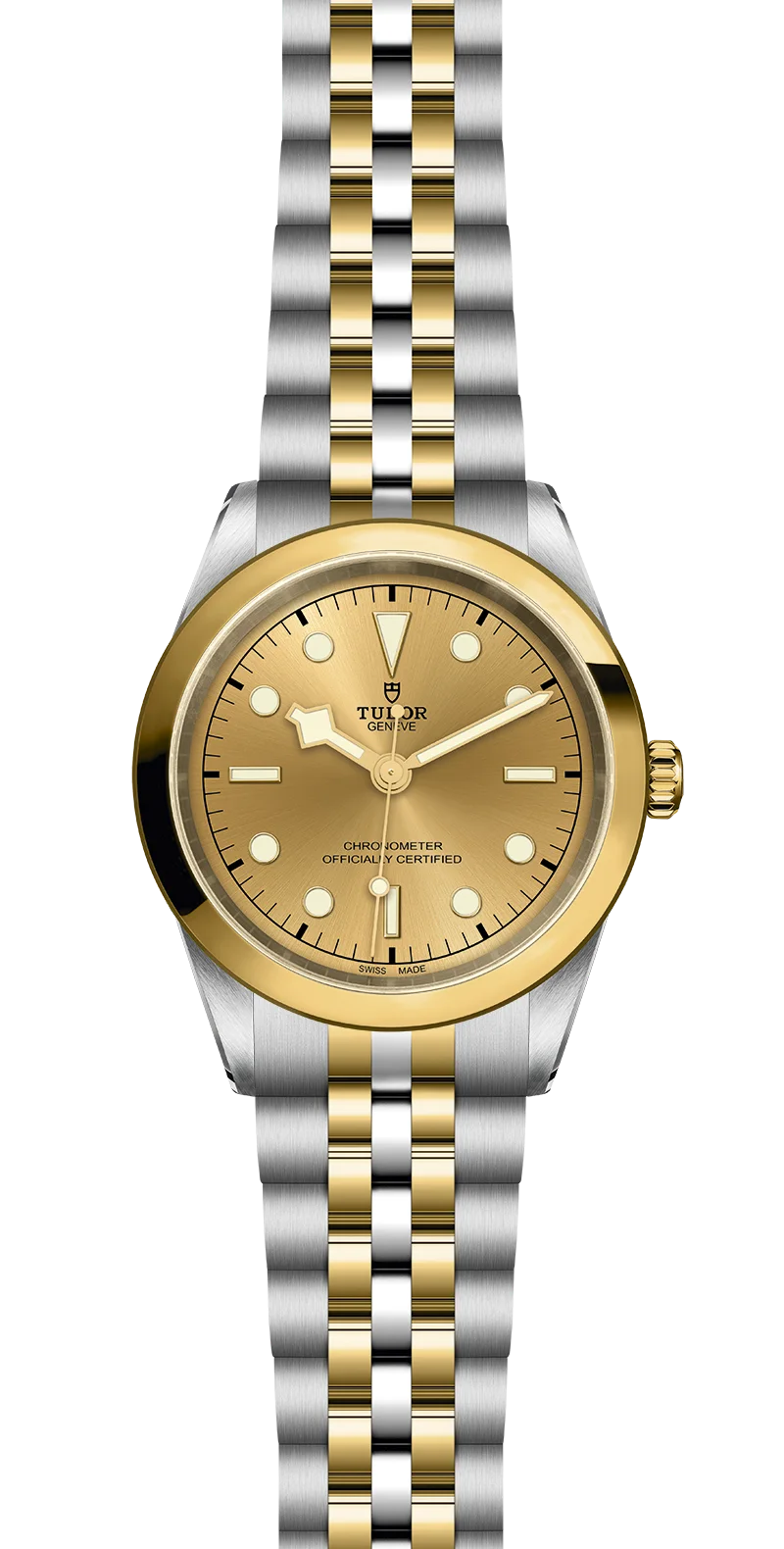 Tudor Watch