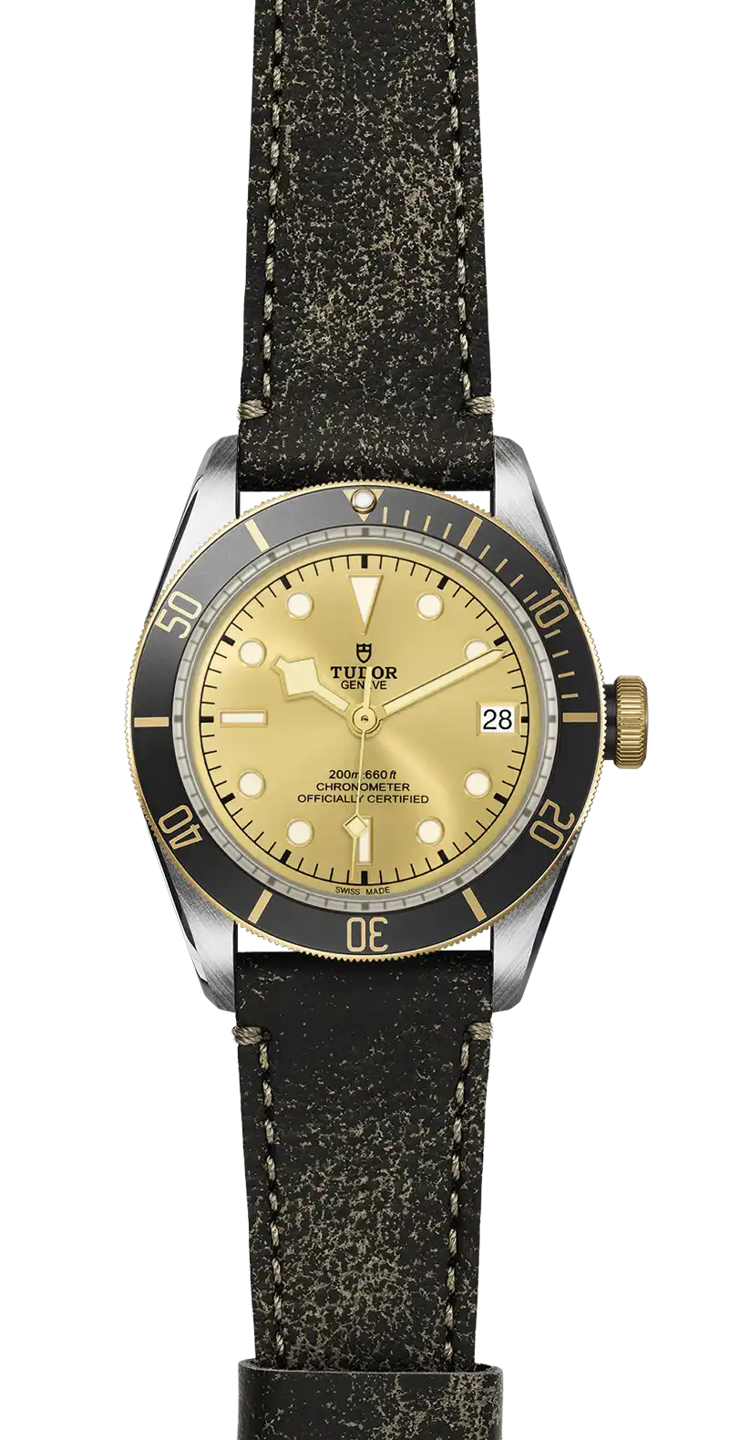 Tudor Watch
